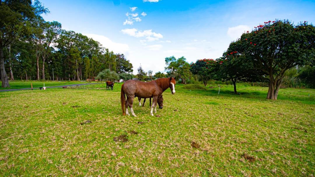 Hosteria Totoral Ibarra Bagian luar foto